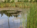 Byparken - 015 - 2011-07-29